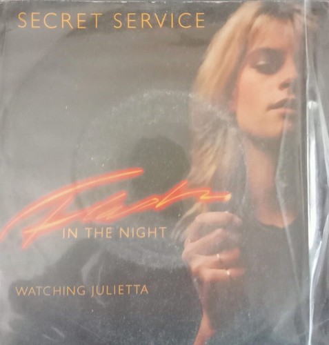 Secret service flash in the - service,