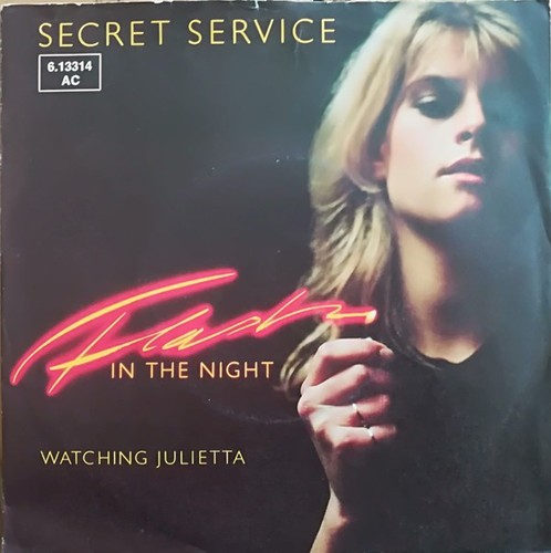 Secret service flash in the - secret,